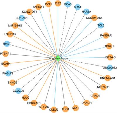 Predicting potential lncRNA biomarkers for lung cancer and neuroblastoma based on an ensemble of a deep neural network and LightGBM